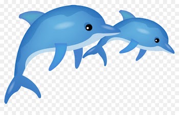 Common bottlenose dolphin Tucuxi Cartoon - dolphin 