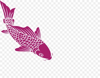 Common carp - Free creative pull carp 