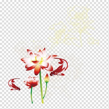 Common carp Nelumbo nucifera Watercolor painting, Pink Lotus watercolor transparent background PNG clipart