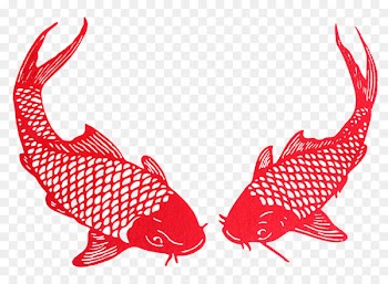 Common carp Papercutting Red Illustration - Pisces play paper cutting 