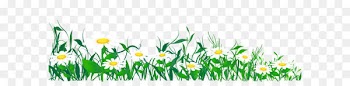 Common daisy Clip art - Daisies and Grass PNG Clipart Picture 