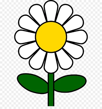 Common daisy Clip art - Flower Clip Art 