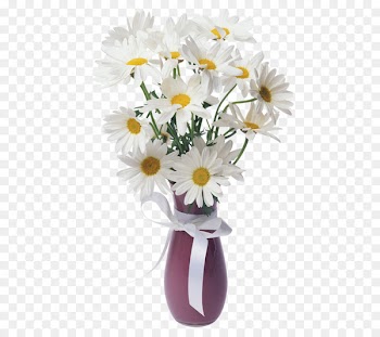 Common daisy Painting Flower God - Chamomile flower 