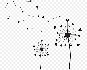 Common Dandelion Image Silhouette Drawing Petal - silhouette 