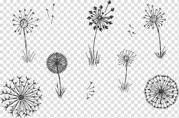 Common Dandelion Plant Euclidean , Plant flowering grass hand painted flock flying transparent background PNG clipart
