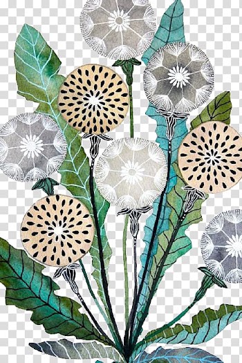 Common Dandelion Watercolor painting Art Illustration, Cartoon Dandelion transparent background PNG clipart