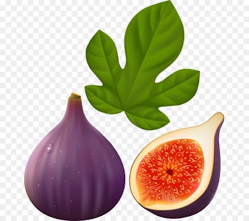 Common fig Fruit Fig leaf Clip art - fig fruit 