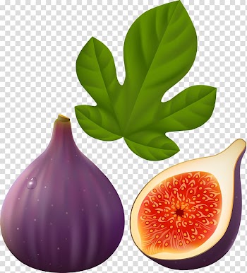 Common fig Fruit Fig leaf , fig fruit transparent background PNG clipart