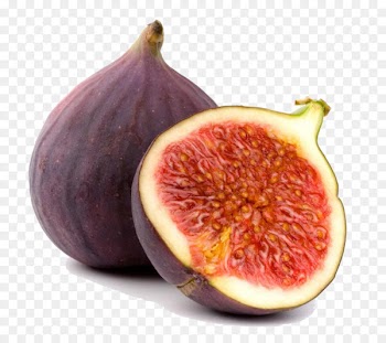 Common fig Fruit tree Food Oil - oil 