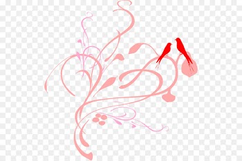 Common Grape Vine, Borders Clip Art, Drawing, Red, Pink PNG