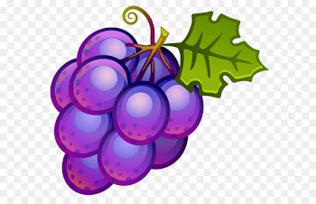 Common Grape Vine Clip art - Large Painted Grapes PNG Clipart 
