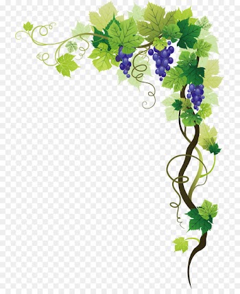Common Grape Vine Picture frame Clip art - grape 
