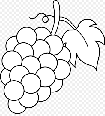 Common Grape Vine Wine Black and white Clip art - Vine Line ...