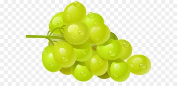 Common Grape Vine Wine Clip art - White Grape PNG Clipart Picture 
