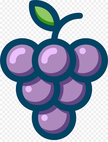 Common Grape Vine Wine Concord grape Muscadine - wine 