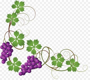 Common Grape Vine, Wine, Grape, Grape Leaves PNG
