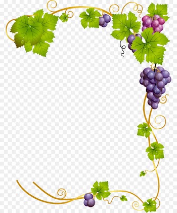 Common Grape Vine Wine - green frame 