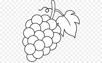 Common Grape Vine Wine Juice Clip art - Grapes Drawing 