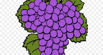 Common Grape Vine Wine Vitis aestivalis Clip art - defendant background 