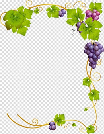 Common Grape Vine Wine, WATERCOLOR LEAF transparent background PNG clipart