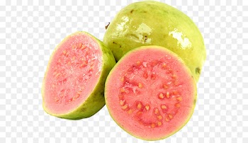 Common guava Tropical fruit Strawberry Guava - guava 