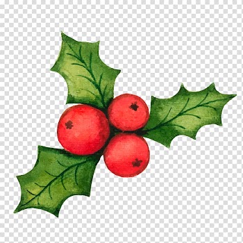 Common holly Christmas decoration , Christmas holly decorations material transparent background PNG clipart