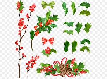 Common holly Christmas decoration Euclidean vector - Various styles Vector Christmas tree decoration 