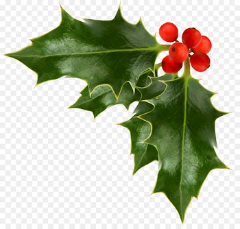 Common holly Christmas Free content Clip art - Corner Garland Cliparts 