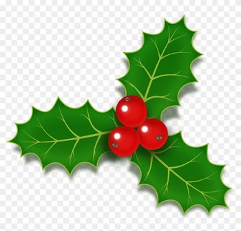 Common Holly Christmas Stock Photography Clip Art - Common Holly Christmas Stock Photography Clip Art