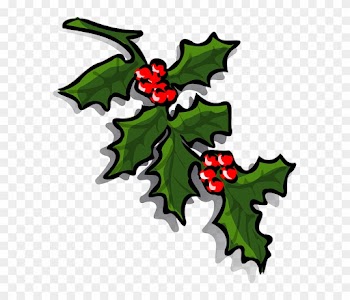 Common Holly Clip Art - Common Holly Clip Art