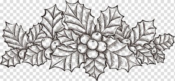 Common holly Winterberry Branch Christmas tree, Hand painted gray Holly transparent background PNG clipart