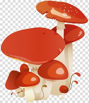 Common mushroom Blog Fungus , mushroom transparent background PNG clipart