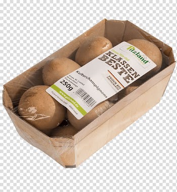 Common mushroom Brown Agaricus augustus Fungus Color, others transparent background PNG clipart