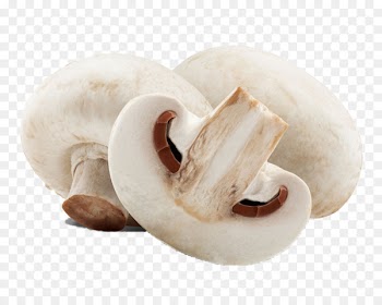 Common mushroom Stock photography Edible mushroom Royalty-free Fungus - Fresh white mushrooms 