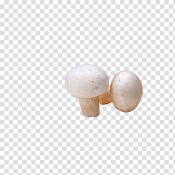 Common mushroom, White mushrooms transparent background PNG clipart
