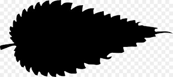 Common Nettle Portable Network Graphics Clip art Image Vector graphics -  