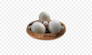 Common ostrich Bird Fried egg Chicken Ham and eggs - Ostrich eggs and eggs 