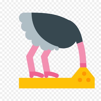 Common ostrich Flightless bird Clip art Illustration - bird 