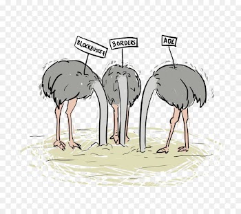 Common ostrich Horse Bird Beak Livestock - horse 