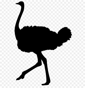 Common ostrich Silhouette Bird Clip art - Ostrich Silhouette PNG Transparent Clip Art Image 