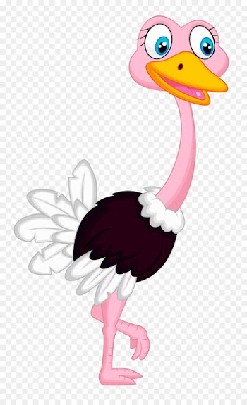 Common Ostrich, Stock Photography, Drawing, Bird, Ostrich PNG