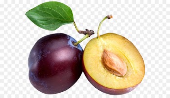 Common plum Dried fruit Nutrition - Large Plum PNG Clipart 