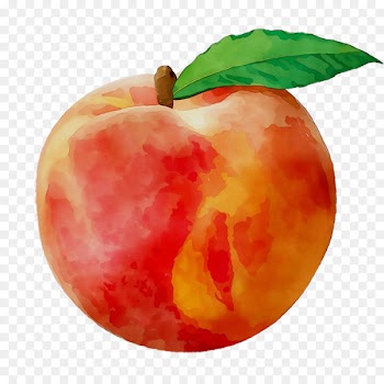 Common plum Nectarine Food Fruit Mesocarpi -  