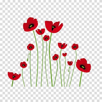 Common poppy Drawing Opium poppy Watercolor painting, painting transparent background PNG clipart