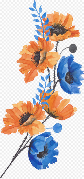 Common poppy Flower - A bouquet of flowers 