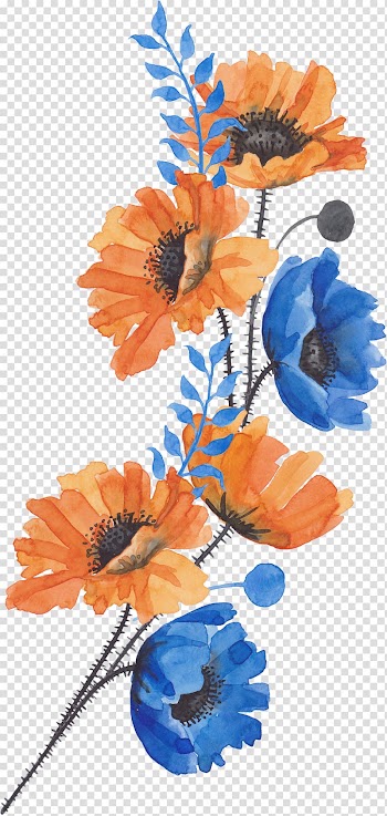 Common poppy Flower, A bouquet of flowers, blue and orange flower painting transparent background PNG clipart