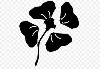 Common poppy Flower Black Clip art - poppy png download - 577*603 ...