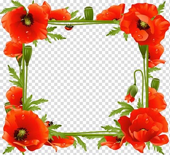 Common poppy Frames Flower, flower frame transparent background PNG clipart