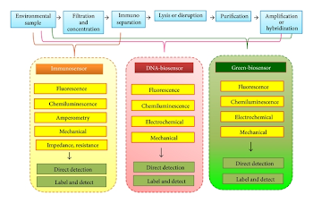Common procedures for detection of certain water-borne pathogens ...