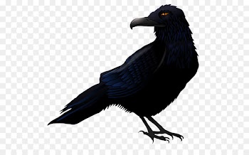 Common raven Bird Clip art - Creative Halloween Crow 